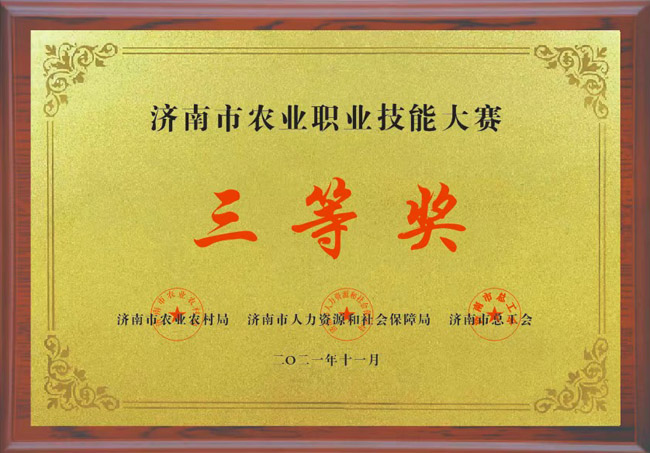 資質(zhì)榮譽(yù)