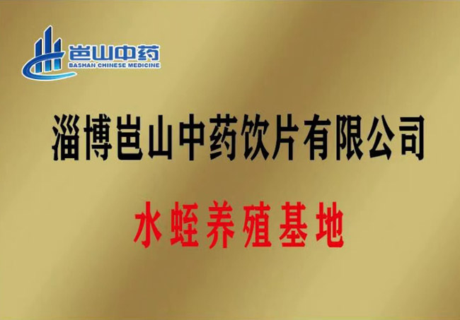 資質(zhì)榮譽(yù)