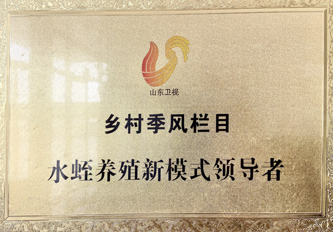 資質(zhì)榮譽