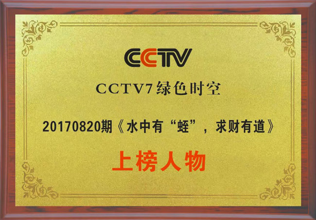 資質(zhì)榮譽