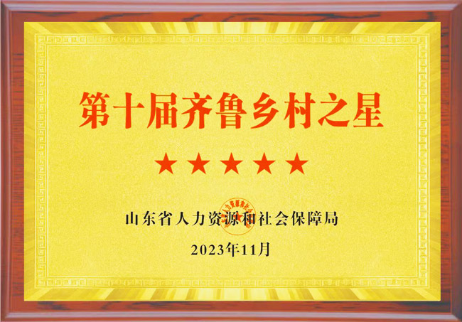 資質(zhì)榮譽(yù)