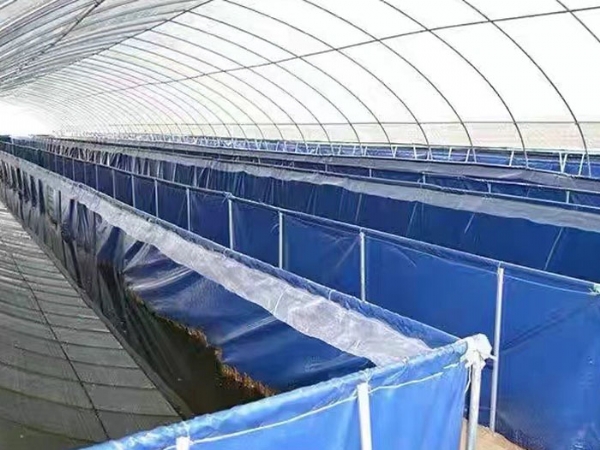 養(yǎng)殖基地