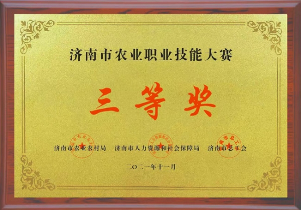 資質(zhì)榮譽(yù)