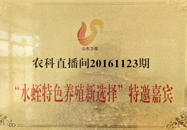 資質(zhì)榮譽(yù)