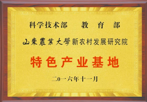 資質(zhì)榮譽(yù)