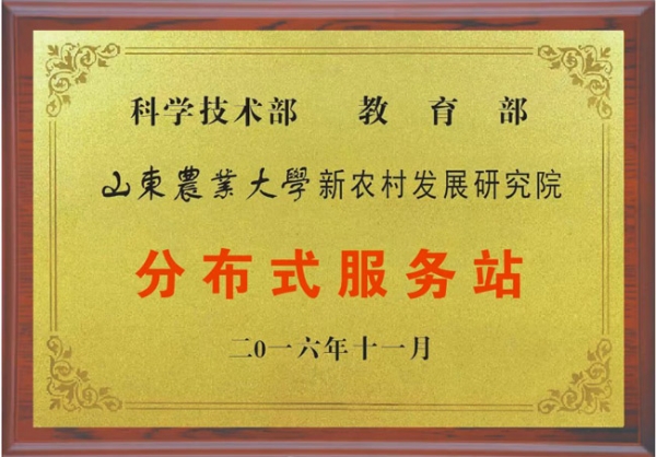 資質(zhì)榮譽(yù)