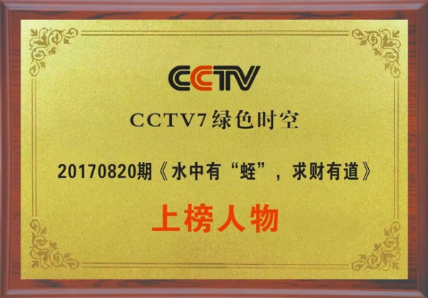 資質(zhì)榮譽(yù)