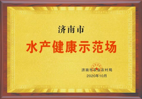資質(zhì)榮譽(yù)