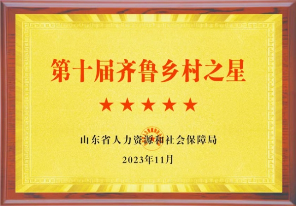 資質(zhì)榮譽(yù)