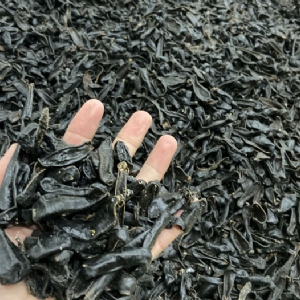 水蛭成品