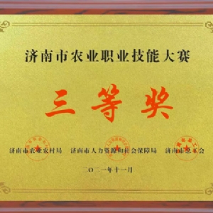 資質(zhì)榮譽(yù)