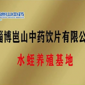 資質(zhì)榮譽(yù)