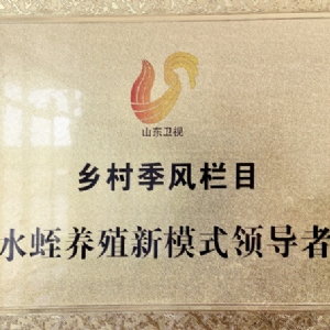 資質(zhì)榮譽