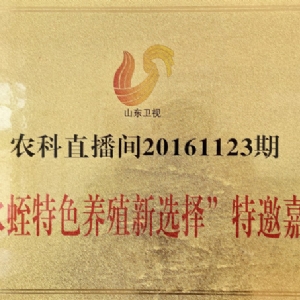 資質(zhì)榮譽(yù)