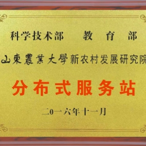 資質(zhì)榮譽