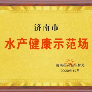 資質(zhì)榮譽(yù)