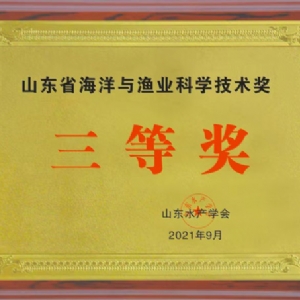資質(zhì)榮譽(yù)