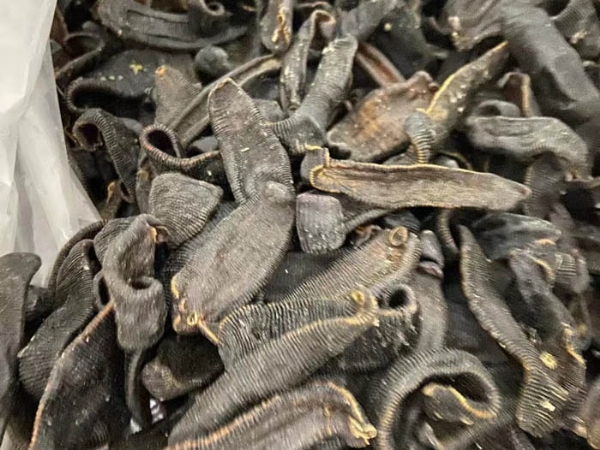水蛭加工的幾種方式