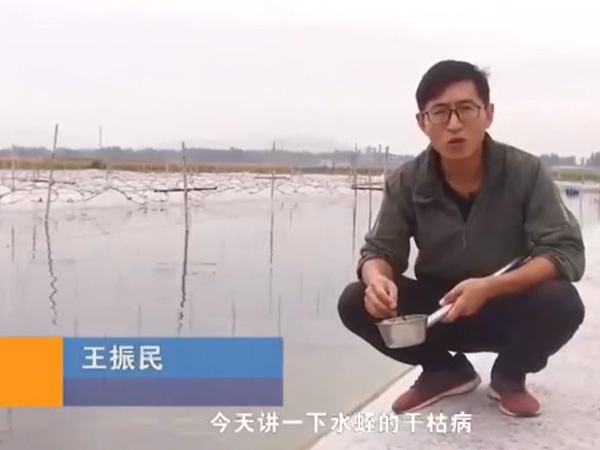 水蛭干枯病發(fā)生活規(guī)律及防治方法