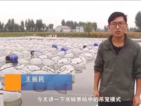 吊籠模式介紹