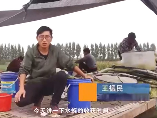 水蛭收獲時(shí)間