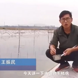 水蛭干枯病發(fā)生活規(guī)律及防治方法