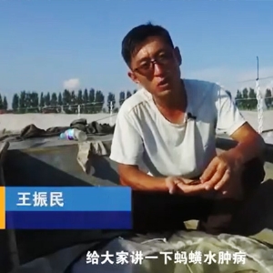 病蟲害管理-水腫病發(fā)與防治