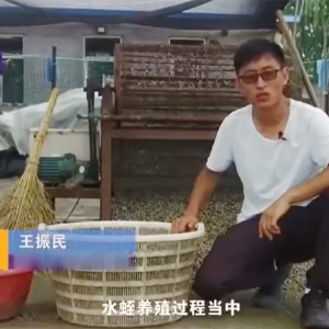 選址-食物選擇