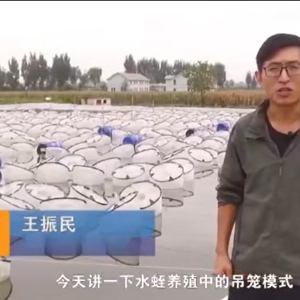 吊籠模式介紹