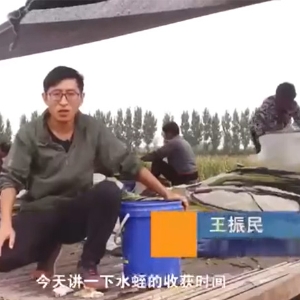 水蛭收獲時(shí)間