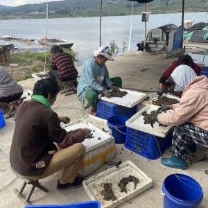 養(yǎng)殖基地