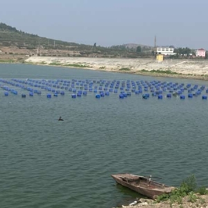 養(yǎng)殖基地