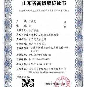山東省高級職稱證書